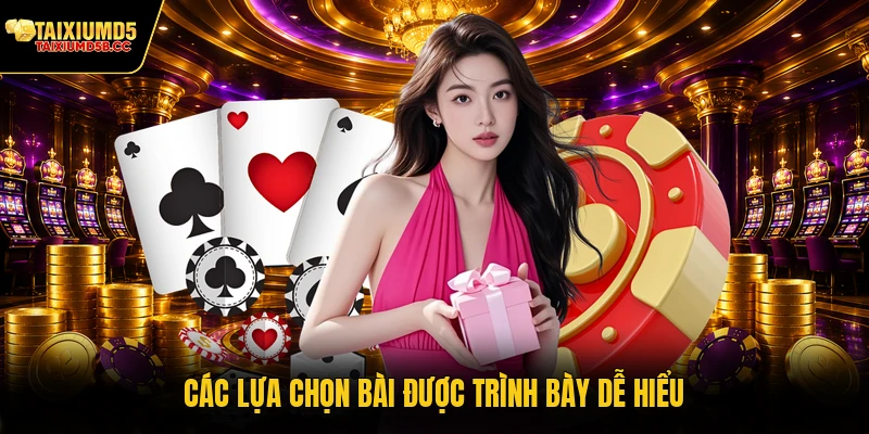 Các lựa chọn bài được trình bày dễ hiểu
