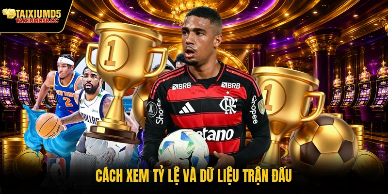 Cách xem tỷ lệ và dữ liệu trận đấu