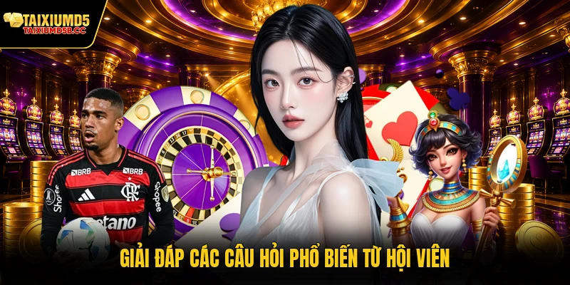 Giải đáp các câu hỏi phổ biến từ hội viên