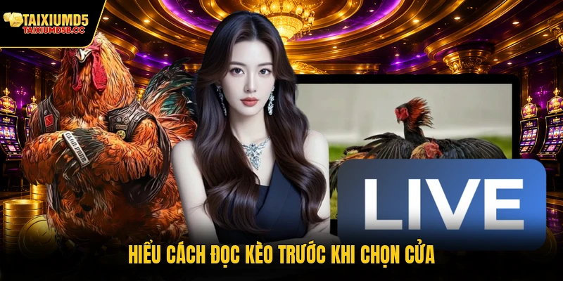 Hiểu cách đọc kèo trước khi chọn cửa