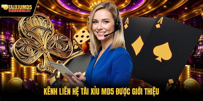 Kênh liên hệ Tài Xỉu MD5 được giới thiệu