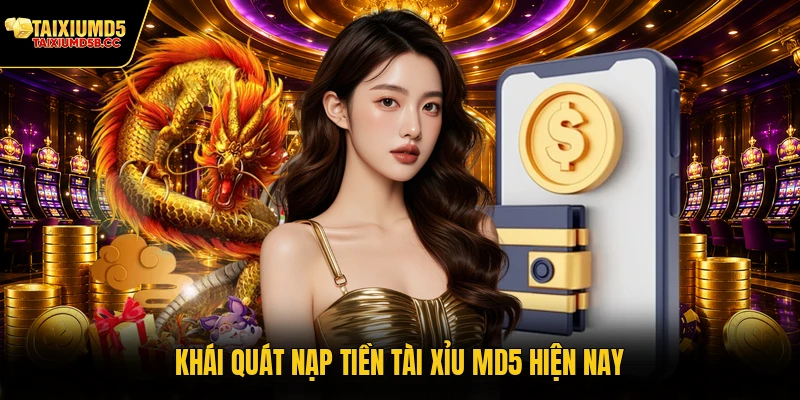 Khái quát nạp tiền Tài Xỉu MD5 hiện nay