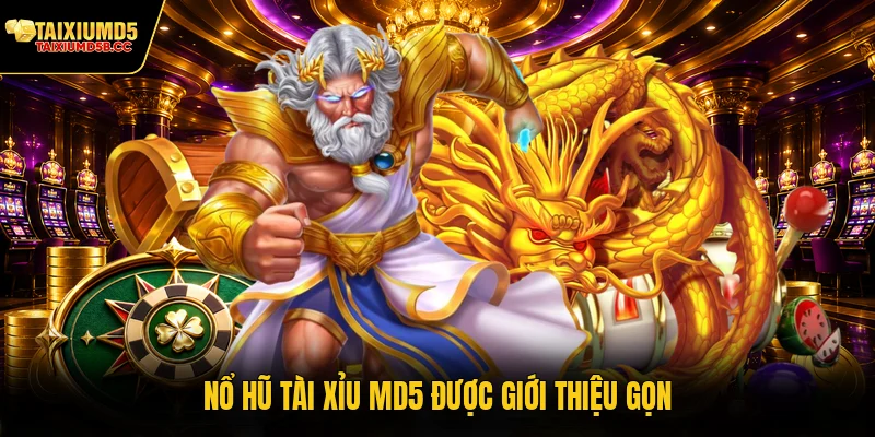 Nổ hũ Tài Xỉu MD5 được giới thiệu gọn