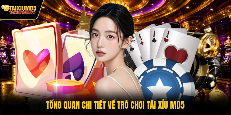 Tổng quan chi tiết về trò chơi Tài Xỉu MD5