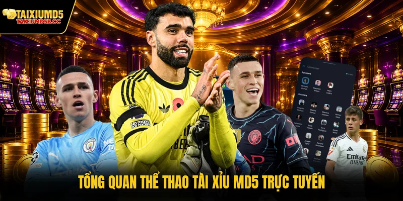 Tổng quan thể thao Tài Xỉu MD5 trực tuyến